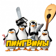 Логотип компании Пингвины