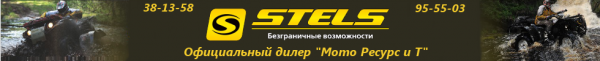 Логотип компании STELS