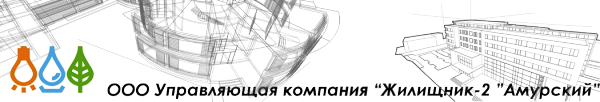Логотип компании Амурский