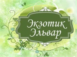 Логотип компании Экзотик Эльвар