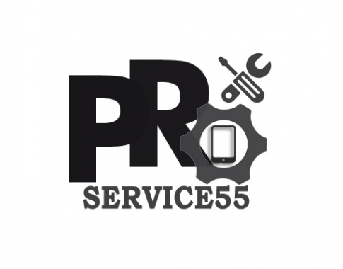 Логотип компании PRO-SERVICE55