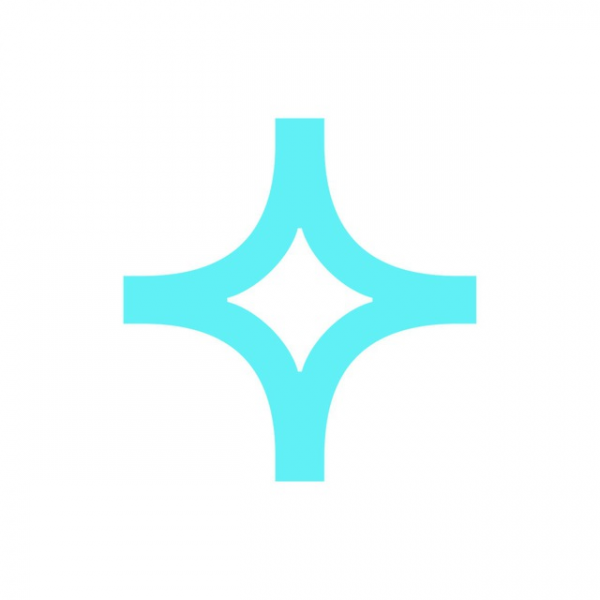 Логотип компании Бюро Чистоты «Братьев Чистовых»