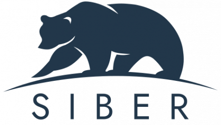 Логотип компании "Сайбер"