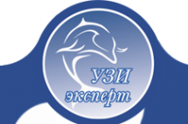 Логотип компании УЗИ эксперт