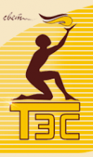 Логотип компании ТЭС