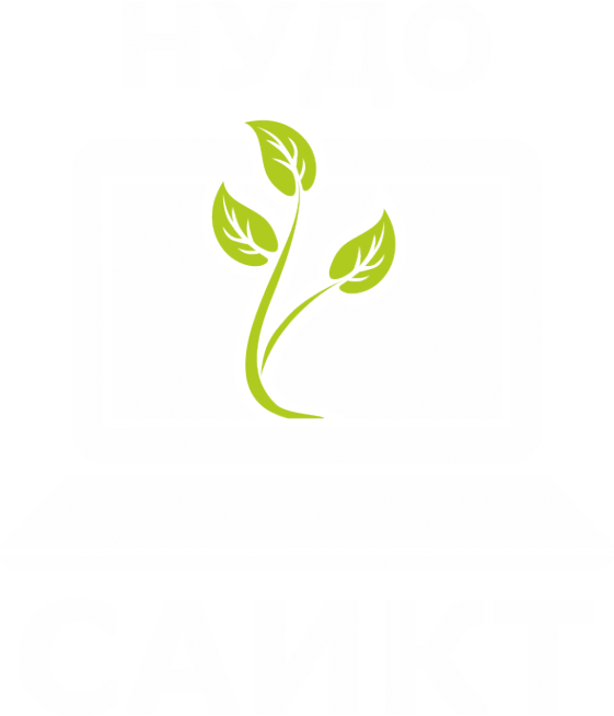 Логотип компании Сибирская Академия инновационных и компьютерных технологий