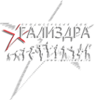 Логотип компании Школа телевидения и шоу-бизнеса Алексея Гализдры