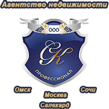 Логотип компании СК-ПРОФЕССИОНАЛ