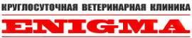 Логотип компании ENIGMA