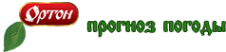 Логотип компании Ортон