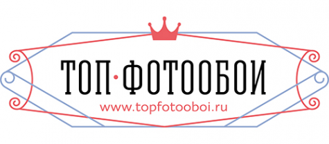 Логотип компании ТОП ФОТООБОИ